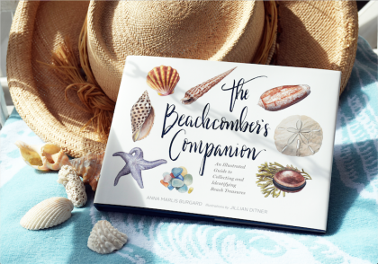 The Beachcomber's Companion: An Illustrated Guide to Collecting and Identifying Beach Treasures (Chronicle Books, 2018) by Anna Marlis Burgard with illustrations by Jillian Ditner is available locally at Books to Be Red. 